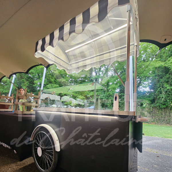 Chariot à glace – Image 3